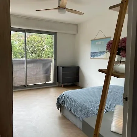 Appartement Victor Hugo *